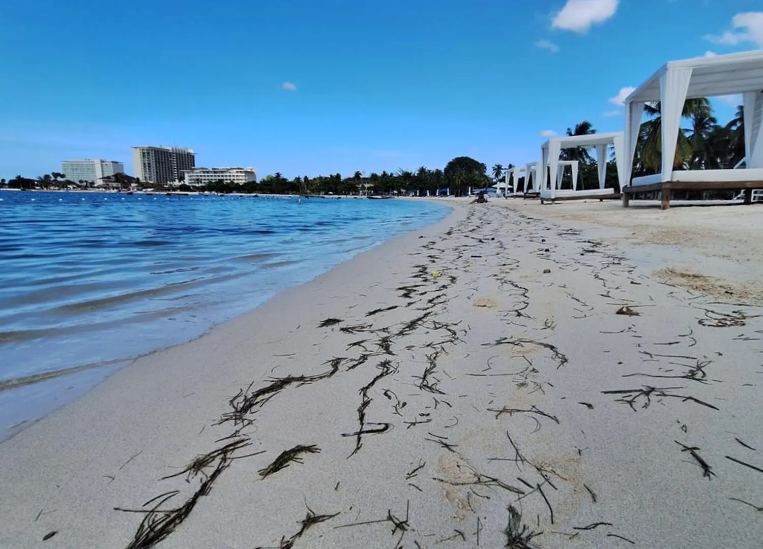 Apartament Sandcastles Beachview 1 Bedroom 28 Ocho Rios Jamajka